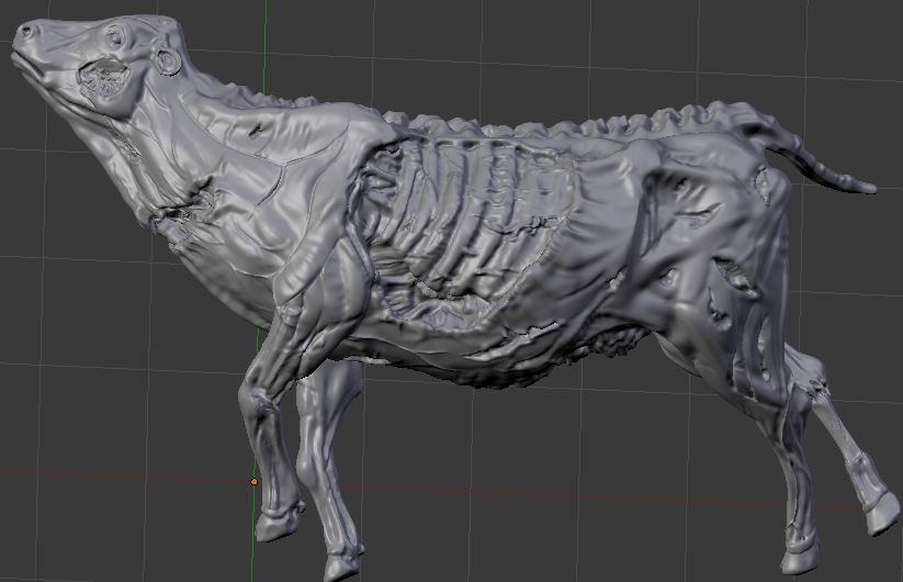 carcass of a cow preview image 1